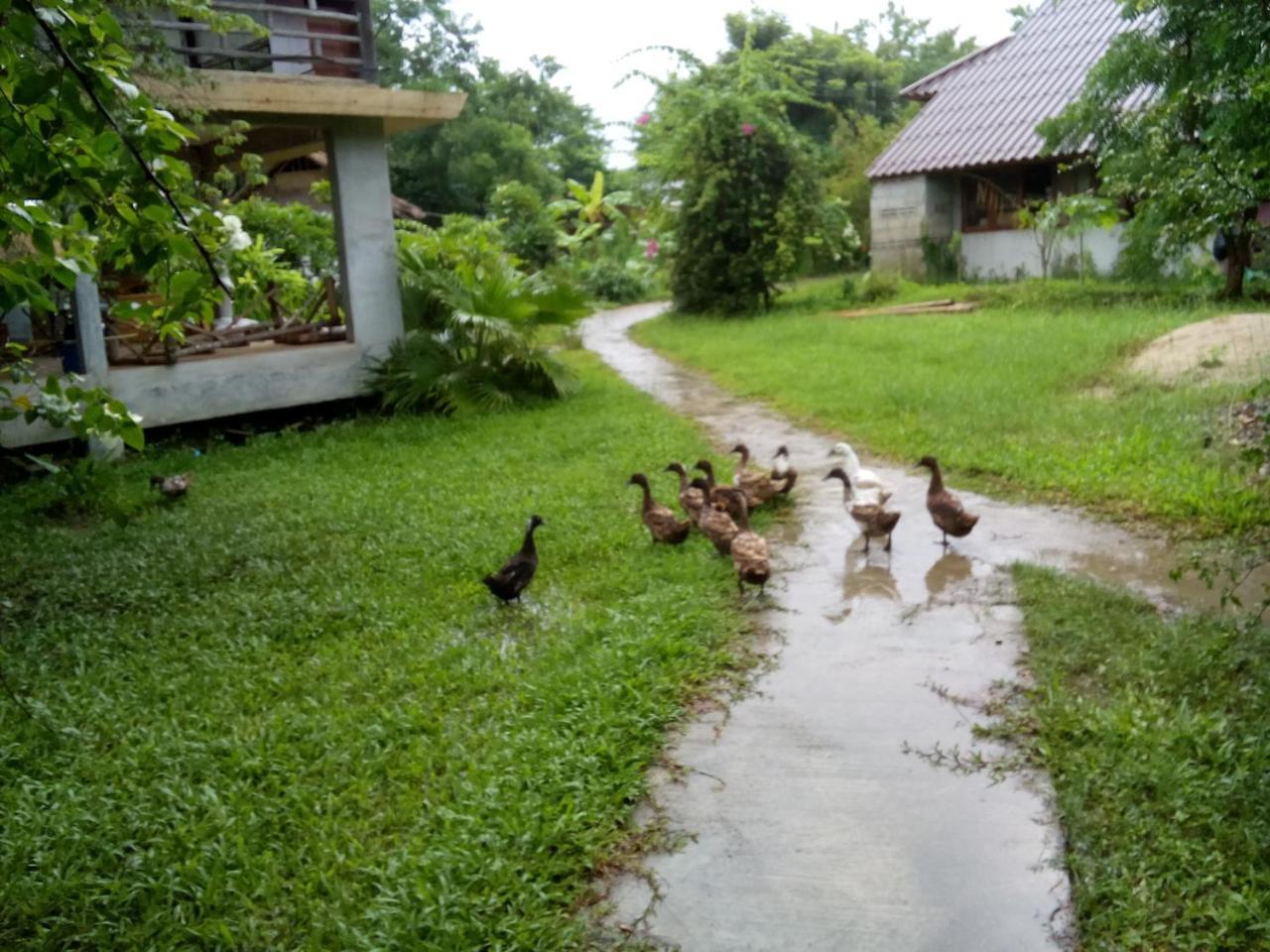Ing Doi Guest House Pai Exterior foto